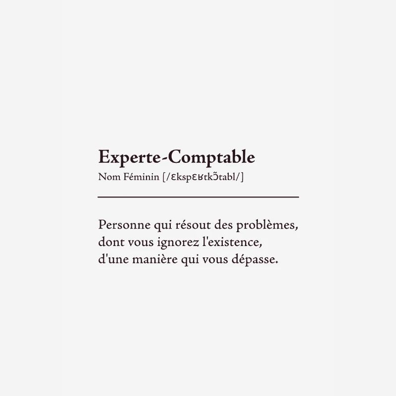 Experte Comptable Definition