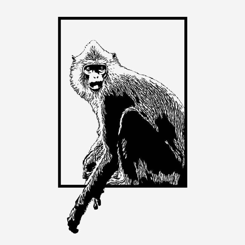 Monkey Hanuman Langure