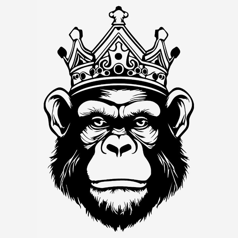 Monkey Monkey Monkey Face Jungle