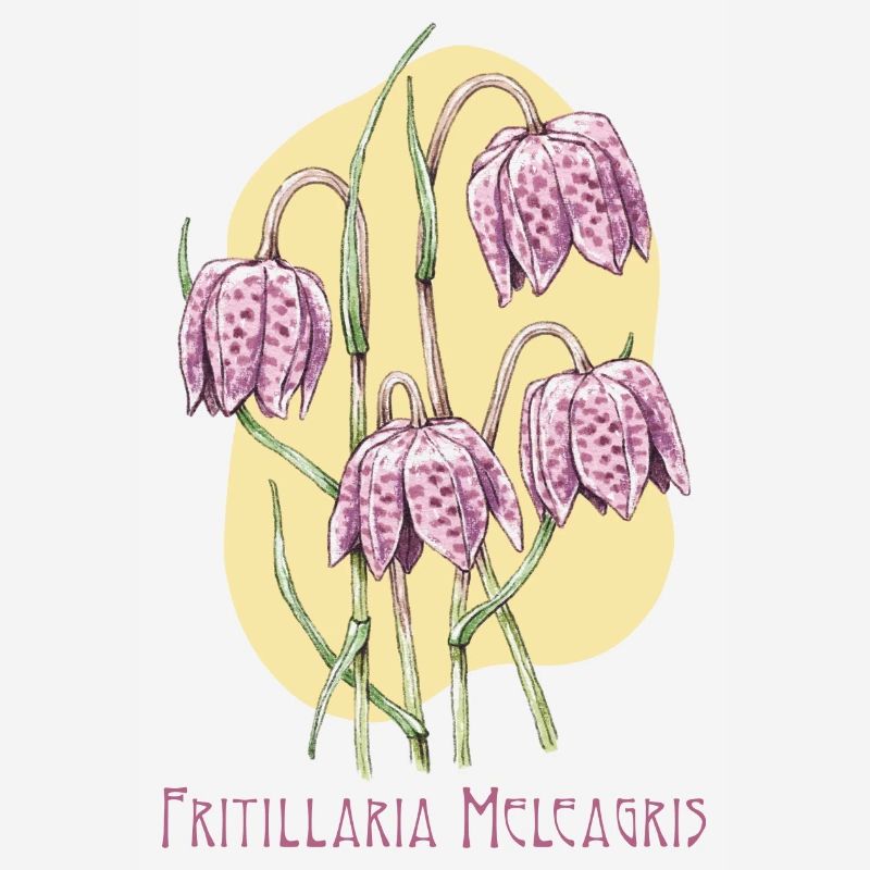 Cube checkerboard botanical drawing