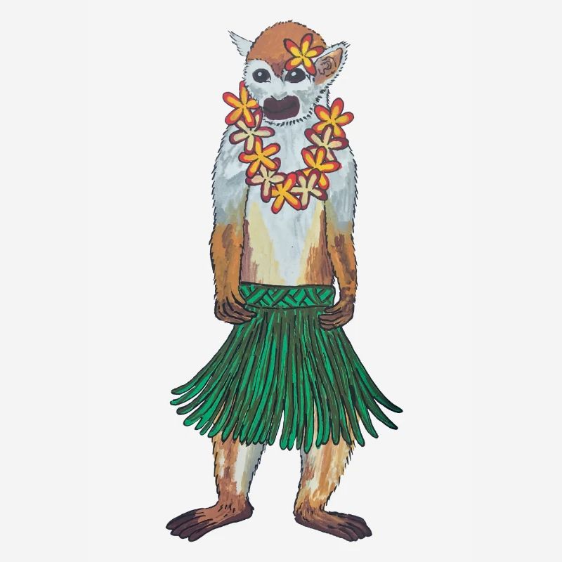 Squirrel Monkey Monkey Hawaii Hula Monkey Hula Hoola