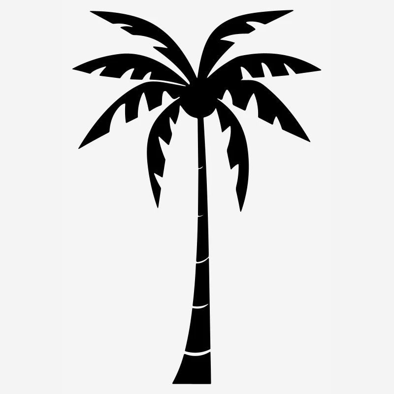 palm tree