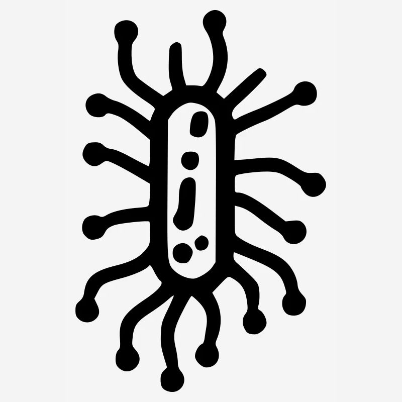 Bacteria