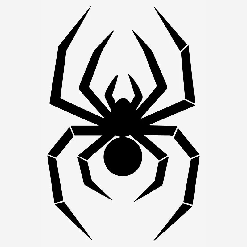 spider
