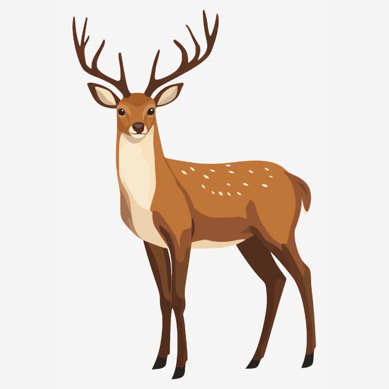 Cerf