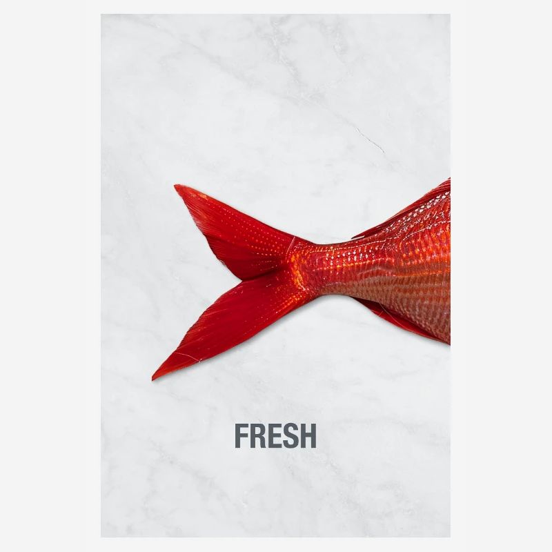 Fresh Fish Minimal Design Modern