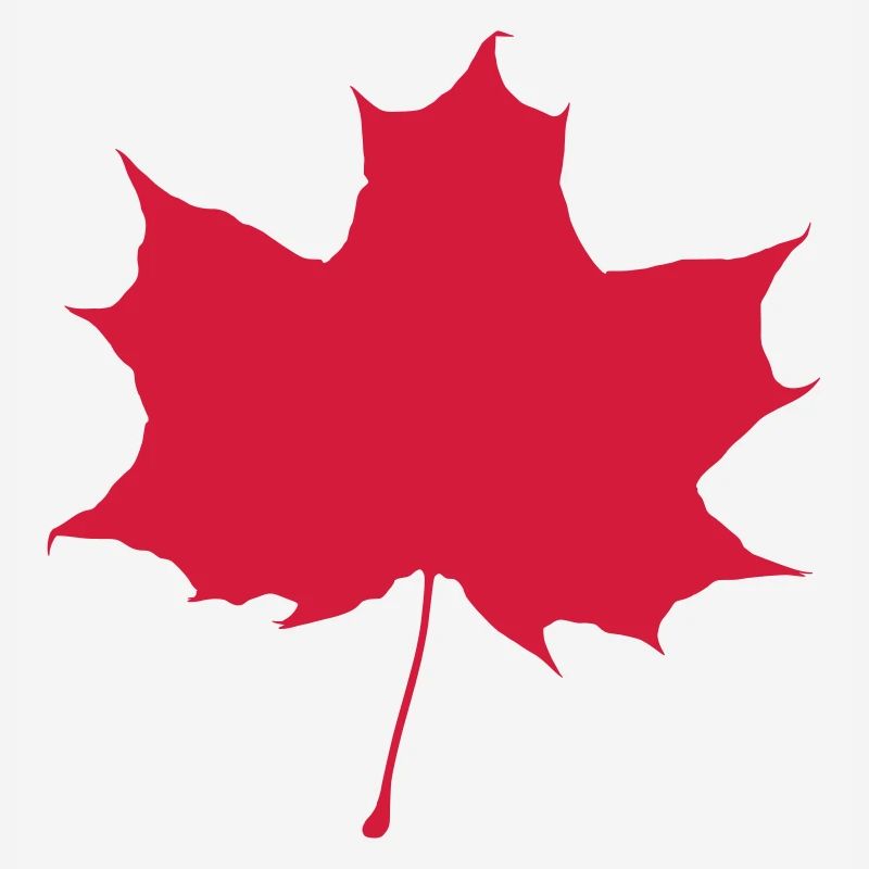 Red maple leaf