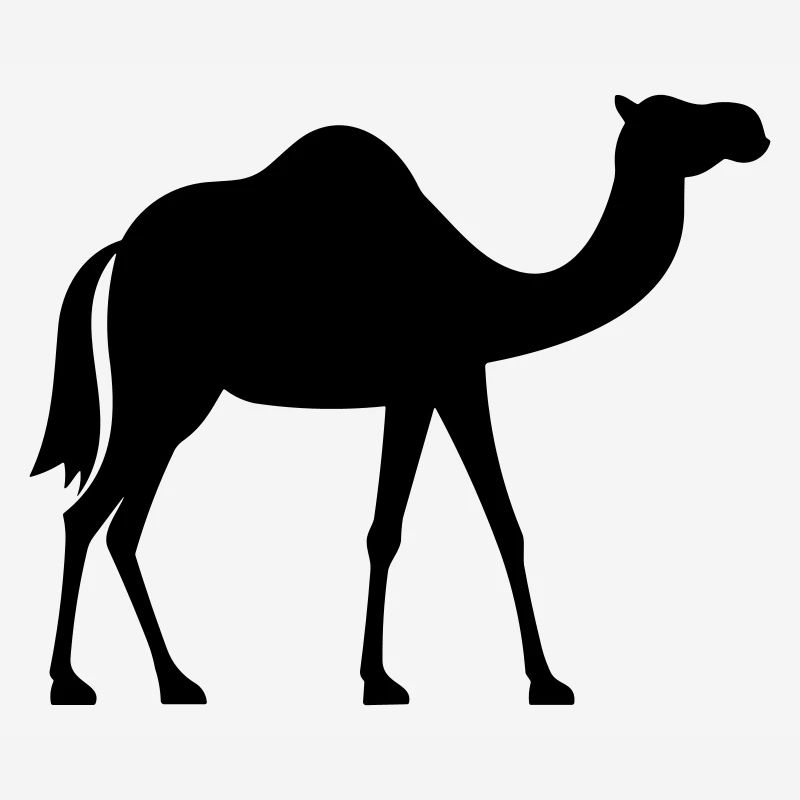 Camel