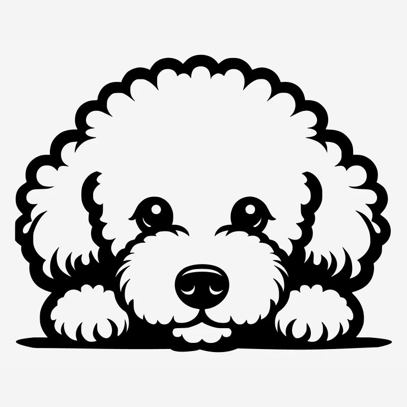 Reclining Bichon Frisé Vector Design