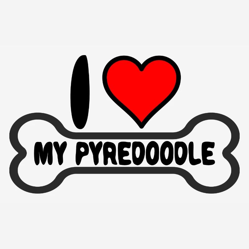 Pyredoodle standard J’aime mon