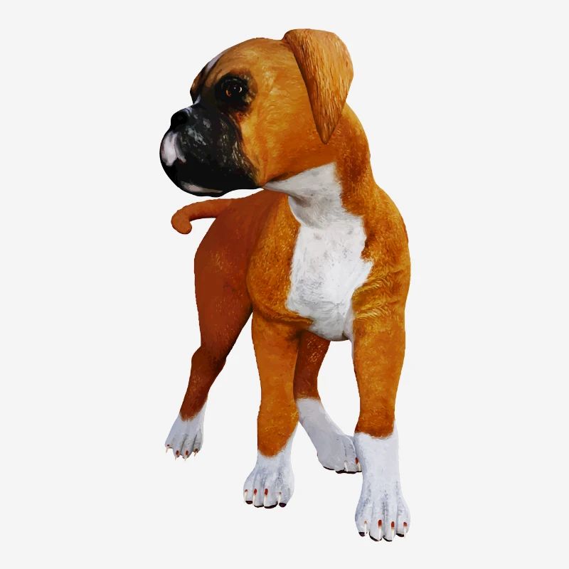 Chien chiot boxer