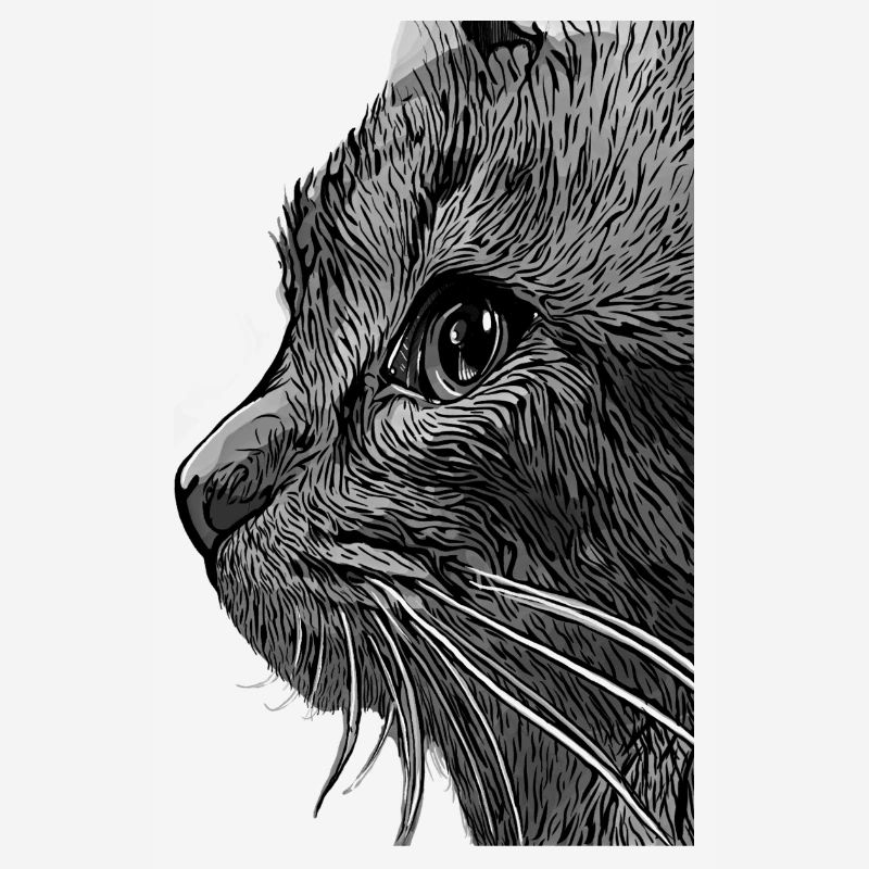 chat chatte