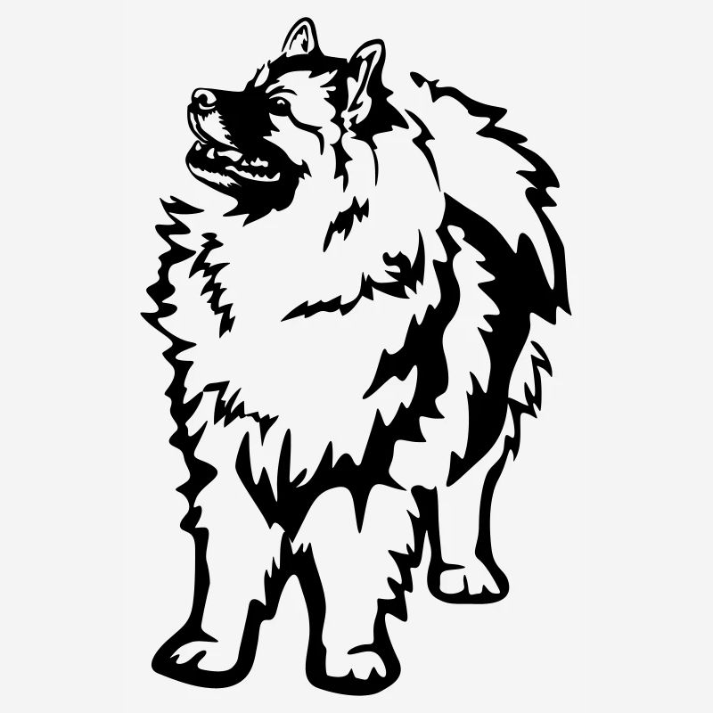Keeshond