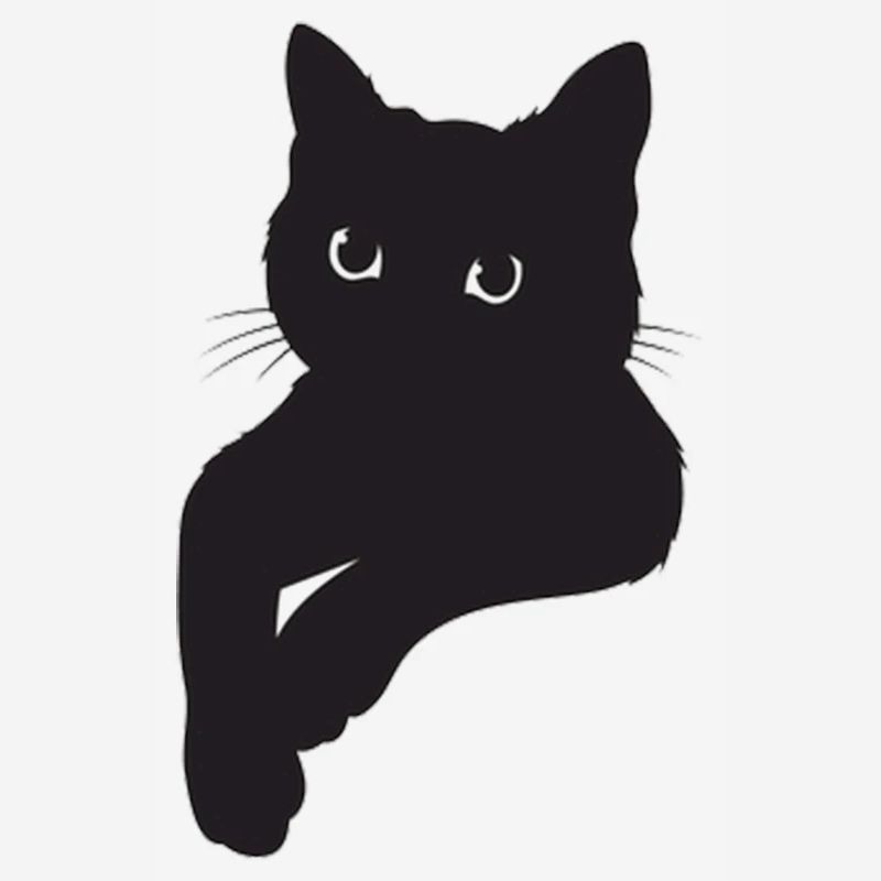 Pose de chat noir
