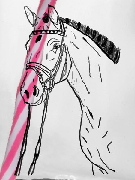 Pferd