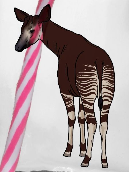 Okapi