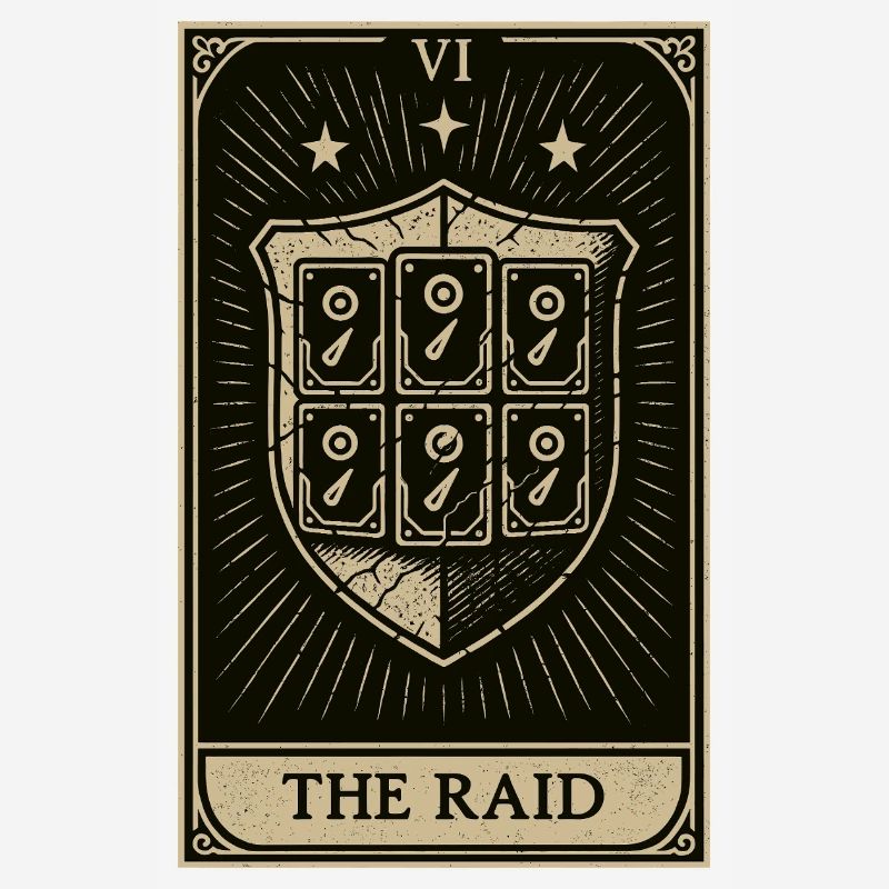 Tarot Datahoarding: Der RAID-Schutz
