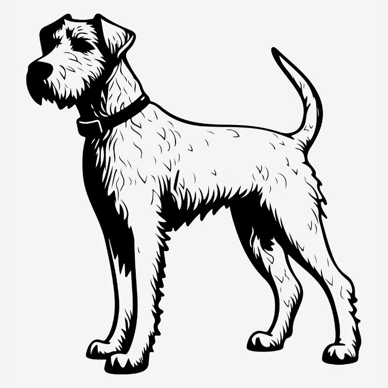Airedale Terrier Dog