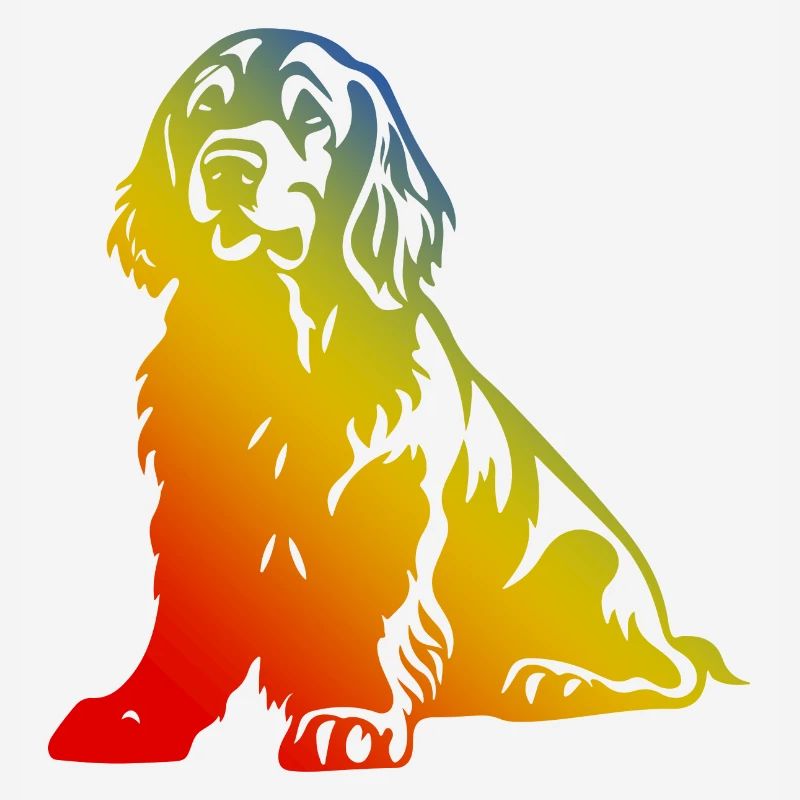 Cocker Spaniel Chien Multicolore