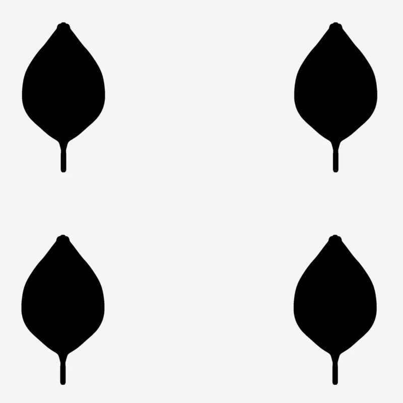 four leaves leaf nature pattern