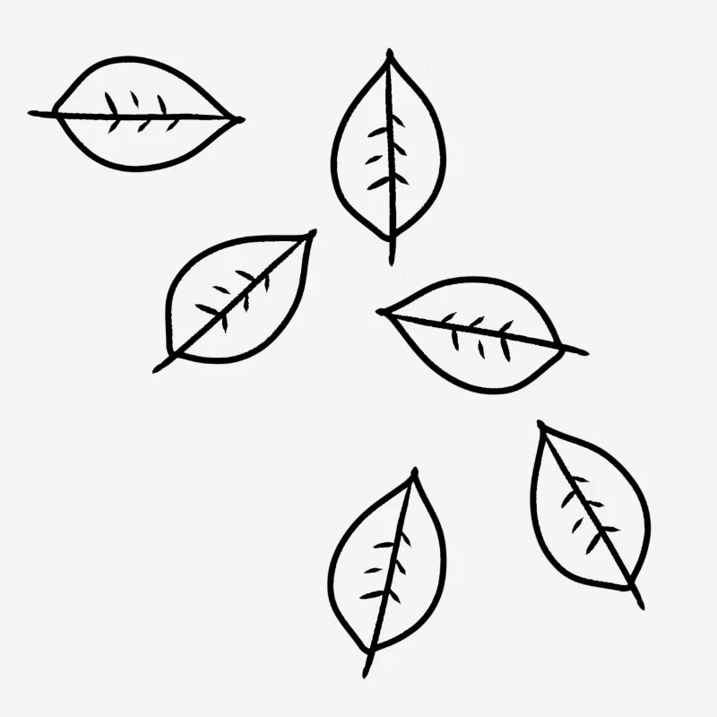 leaf pattern leaves icon shape nature