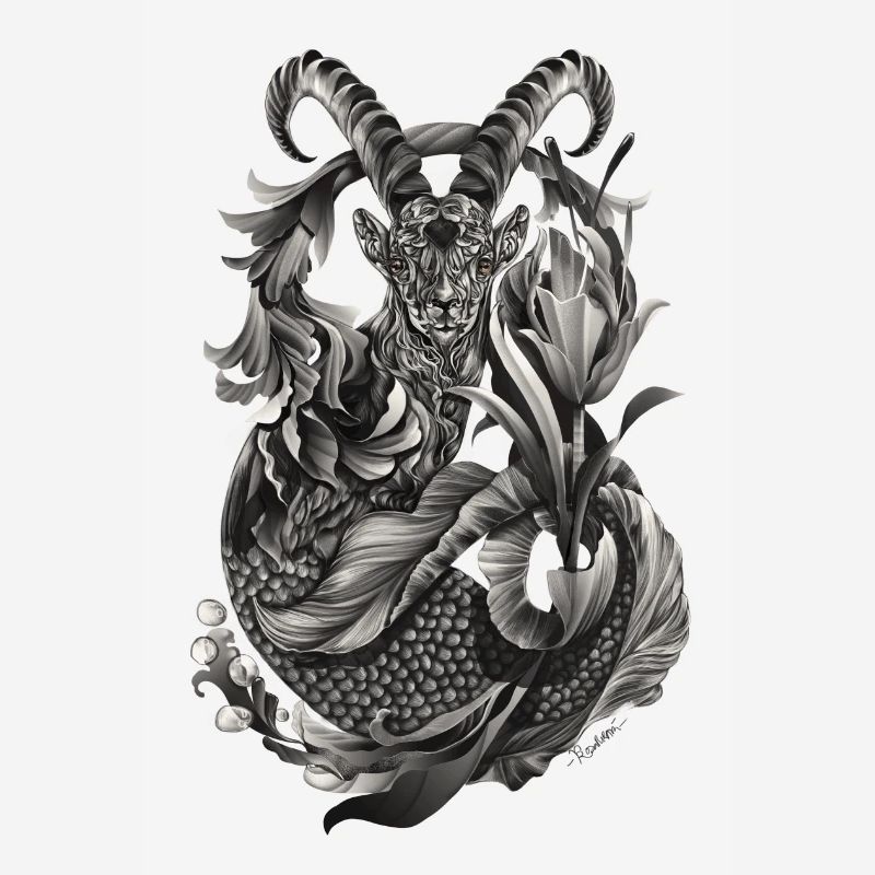 Steinbock Sternzeichen