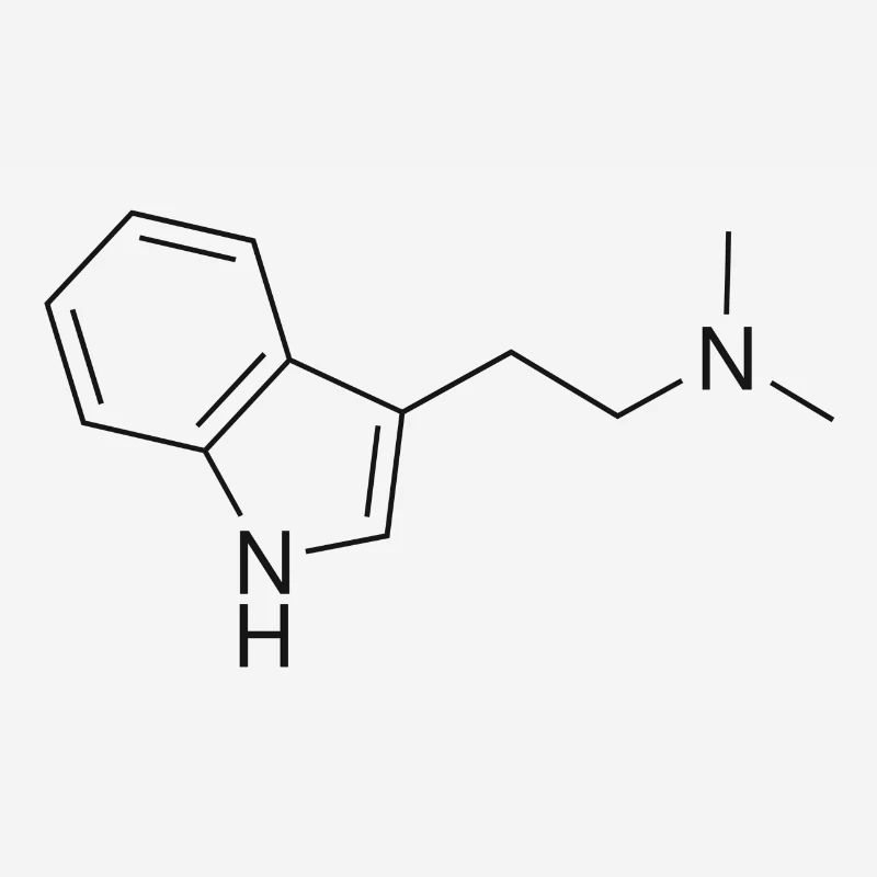 DMT Molekül - schwarz