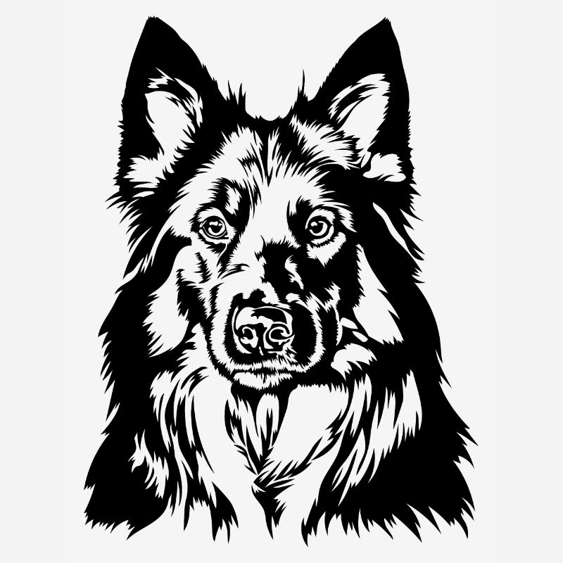 Bohemian Shepherd Portrait German Shepherd Wilsigns