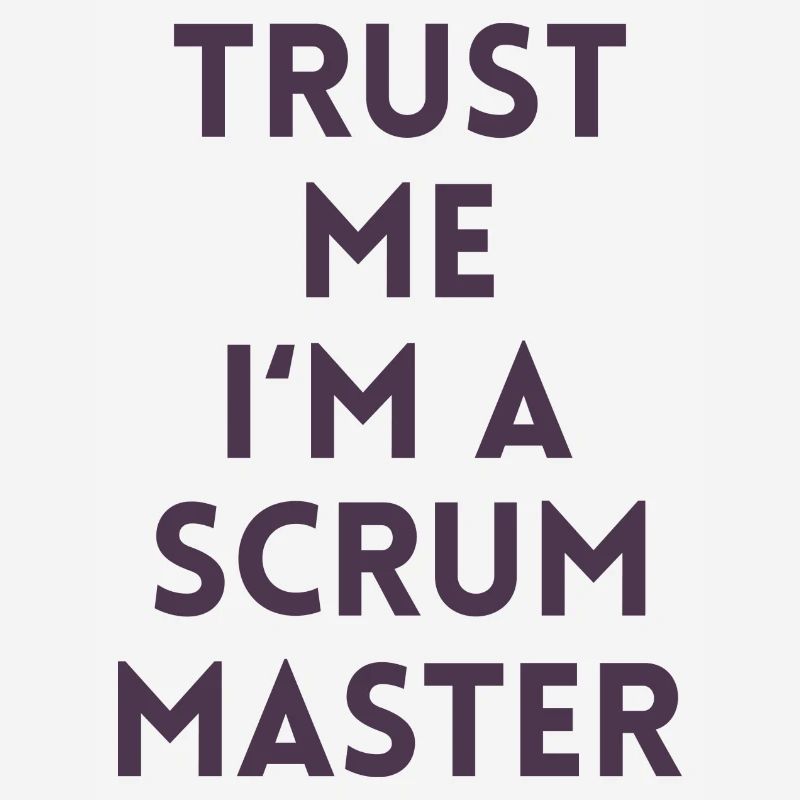 Trust me I’m a scrum master cadeau code ordinateur