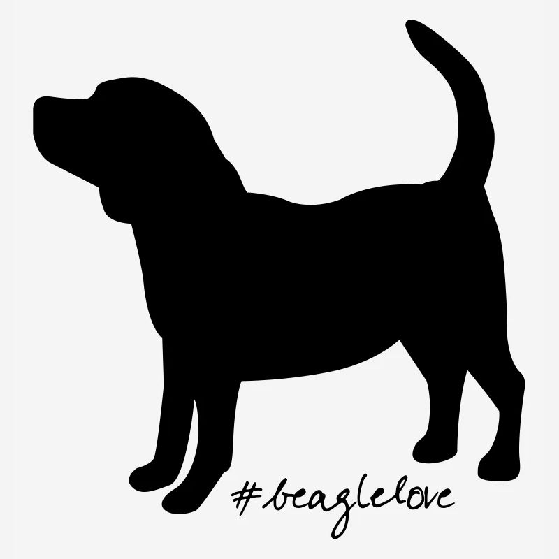 amour beagle