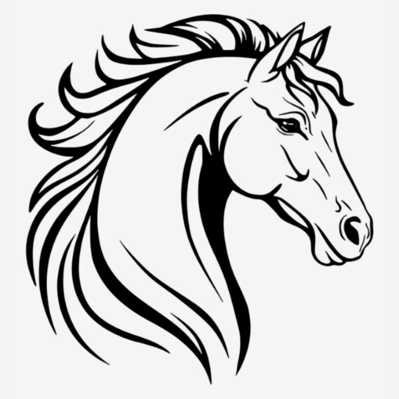 Illustration de cheval