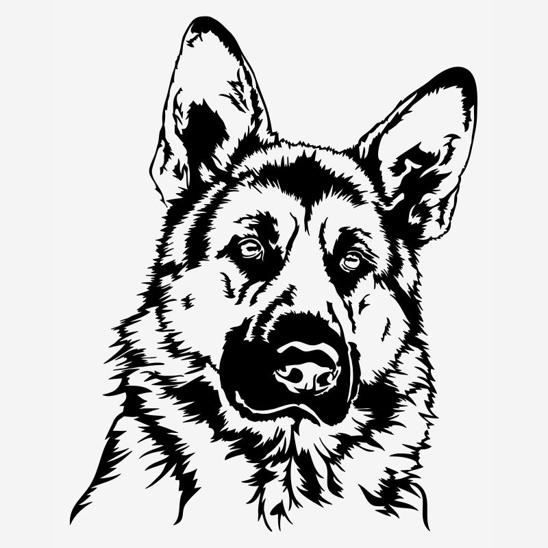 DEUTSCHER SCHÄFERHUND Portrait Wilsigns