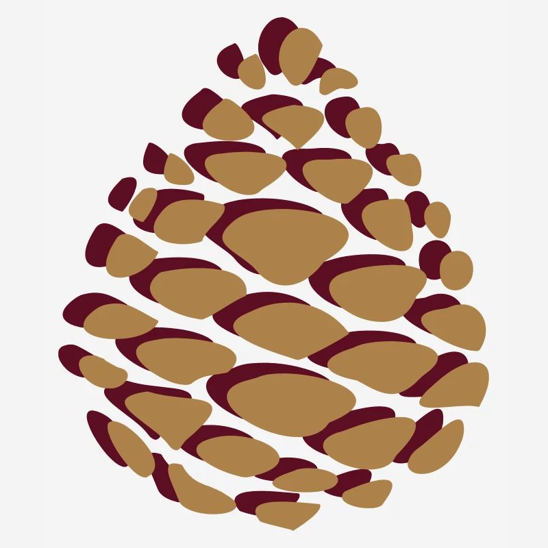 Pine cones pinecone pomme de pin Wald forest