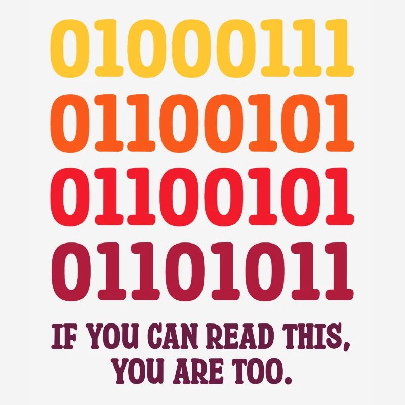 IT Geek, Accessoires PC Périphériques de stockage Evolution