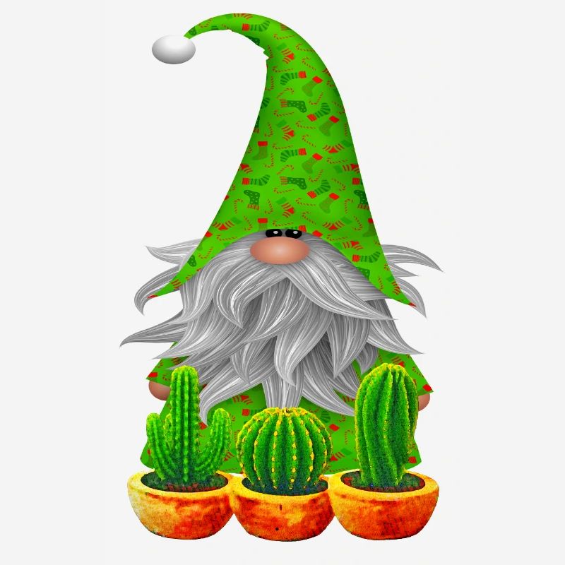 Gnome Jardin Cactus