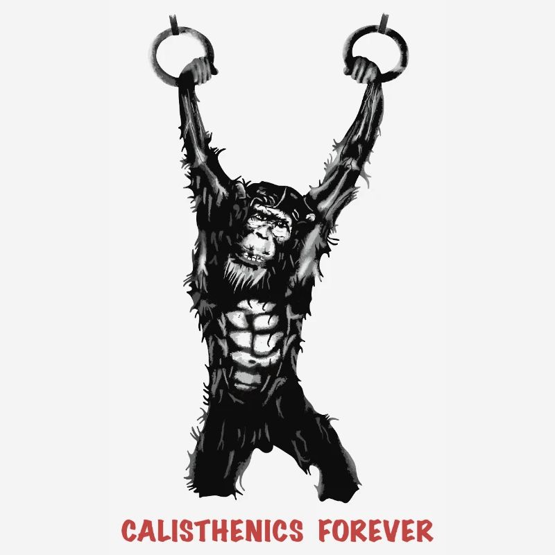 Calisthenics Evolution - Gymnastikringe