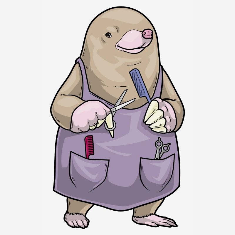 Peigne et ciseaux de coiffeur Mole