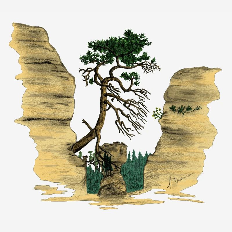 Montagnes de grès de l’Elbe