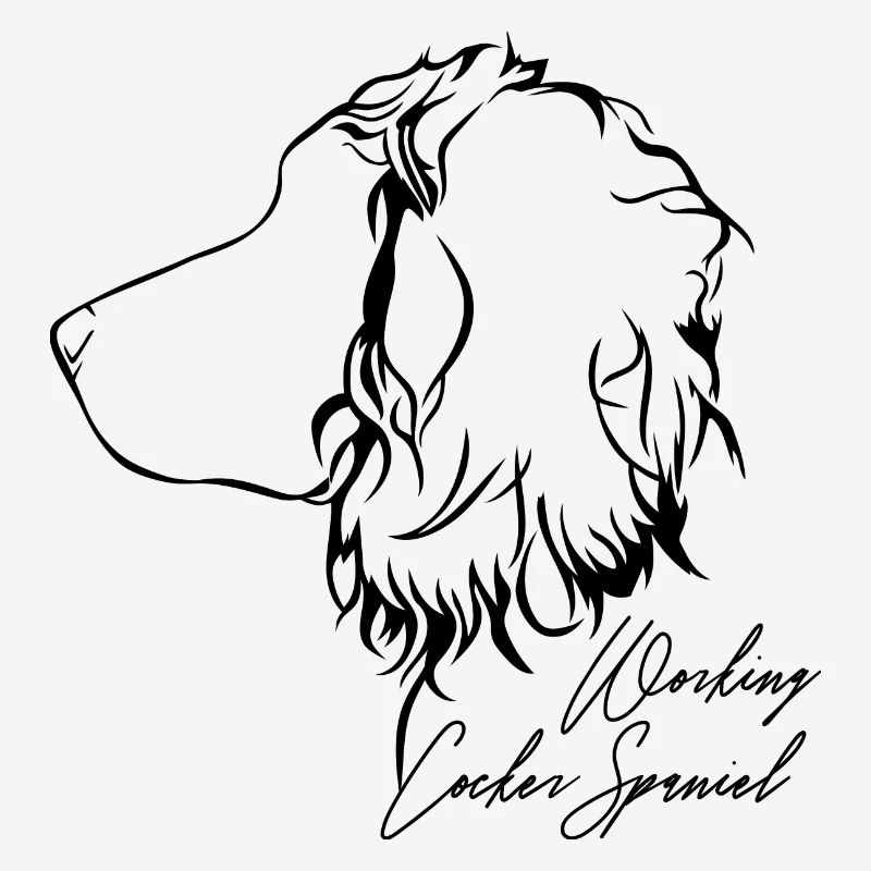 WORKING COCKER SPANIEL Profile Dogs Dog Wilsigns