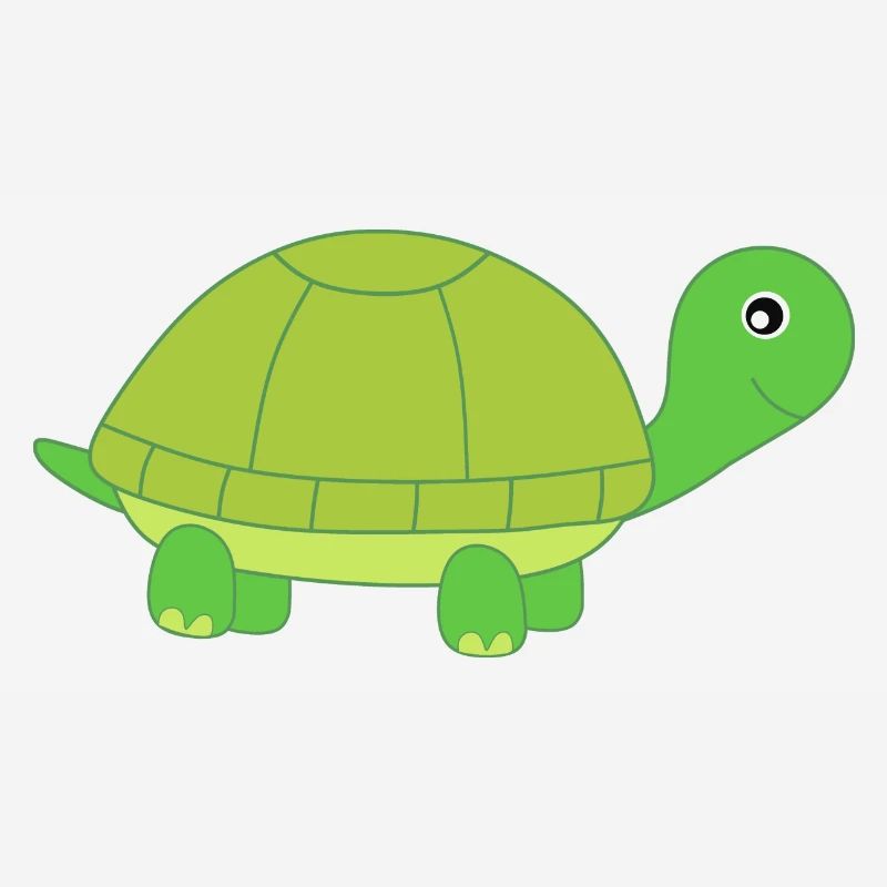 Turtle Turtles