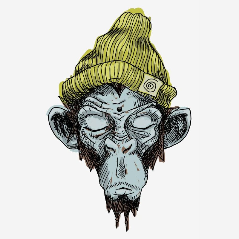 Monkey with hat