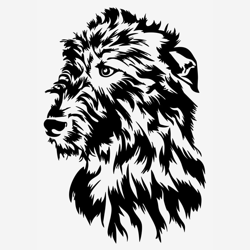 Irish Wolfhound head