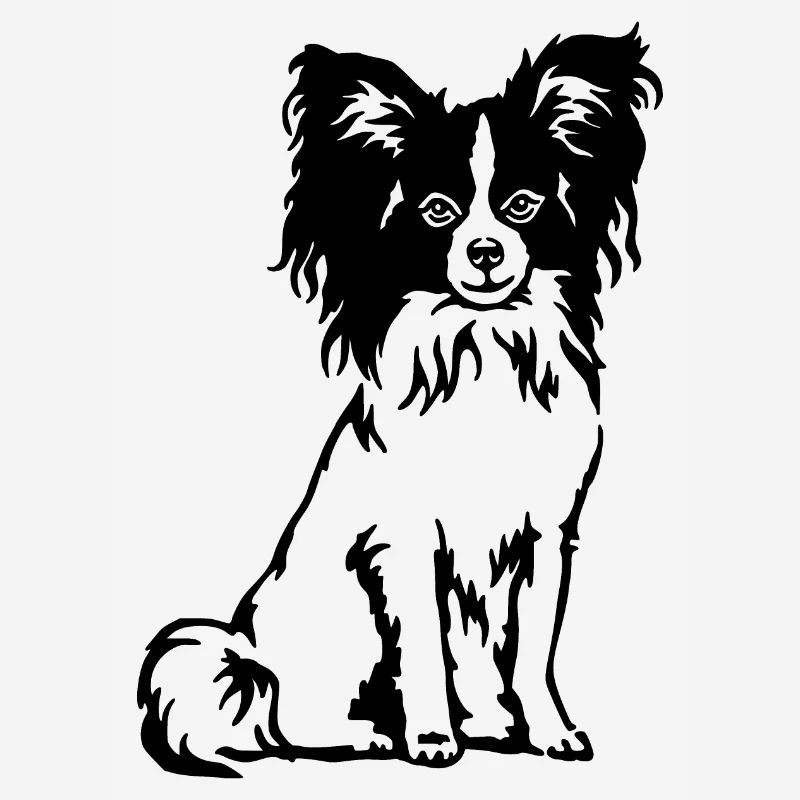 Papillon Spaniel