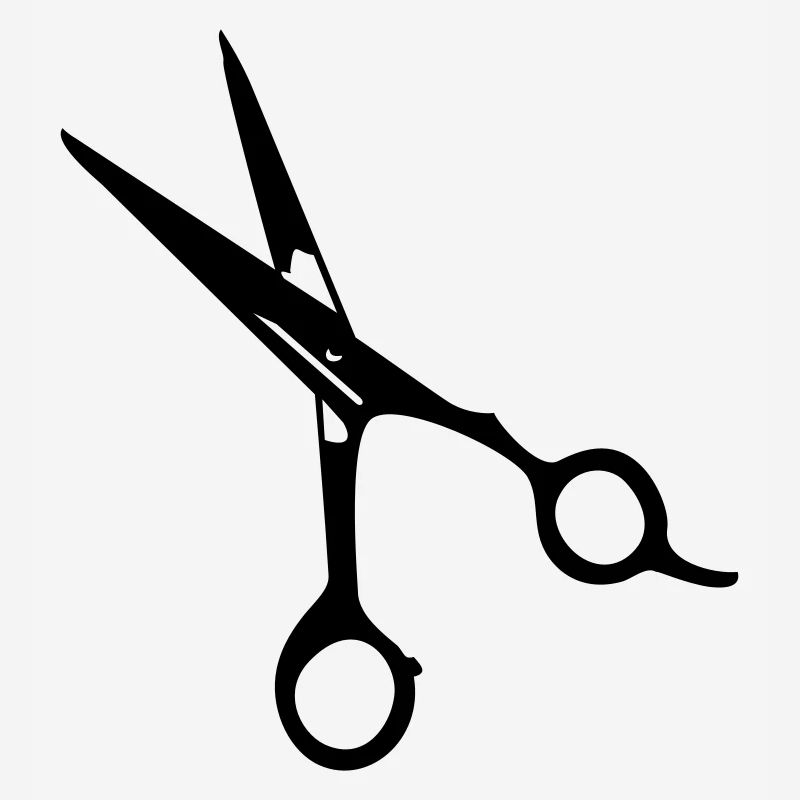 ciseaux de coiffeur / scissors (1c)