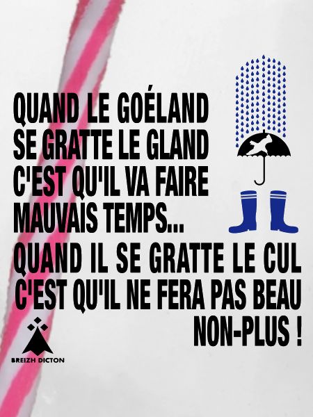 BREIZH DICTON