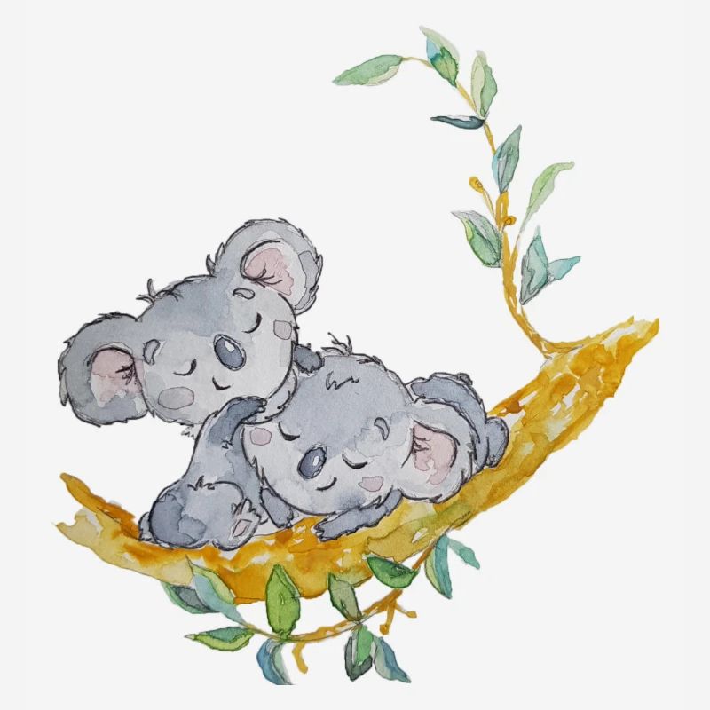 koalas tendresse