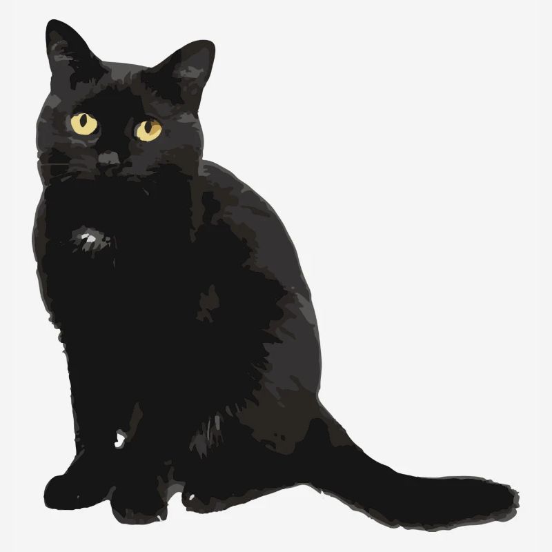 chat