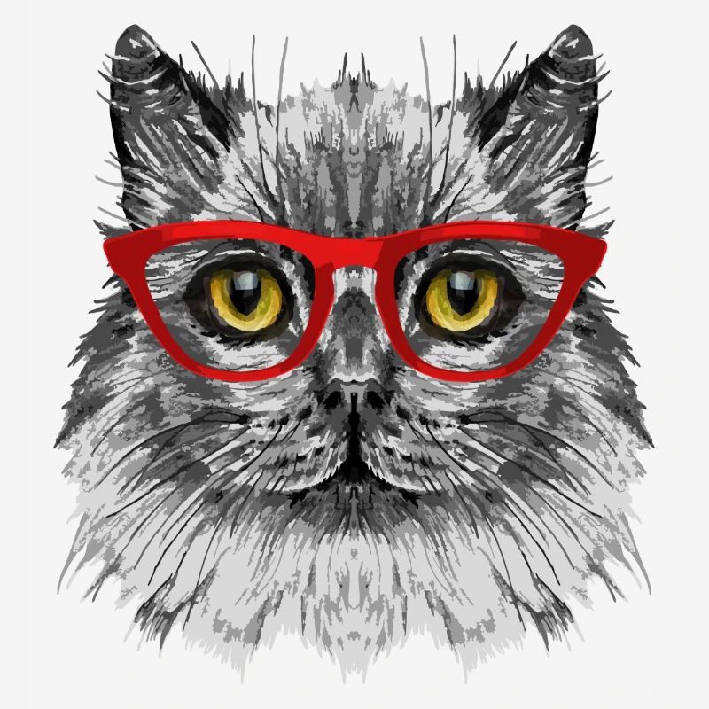 Chat