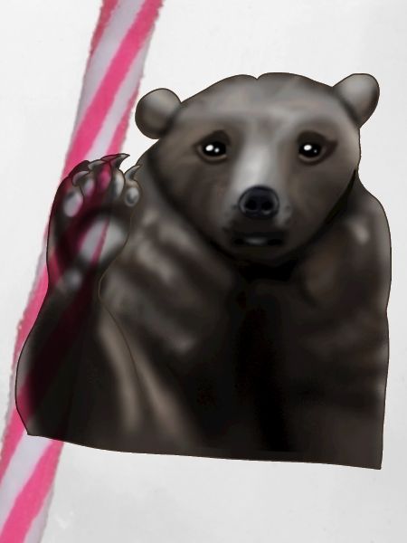 Braunbär