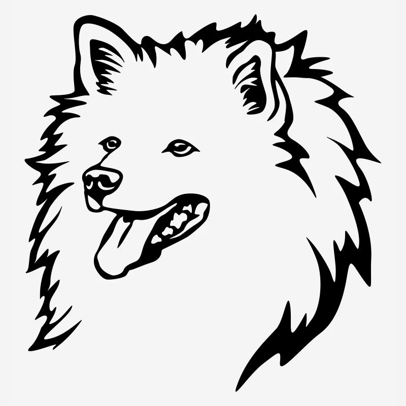 Spitz Kopf